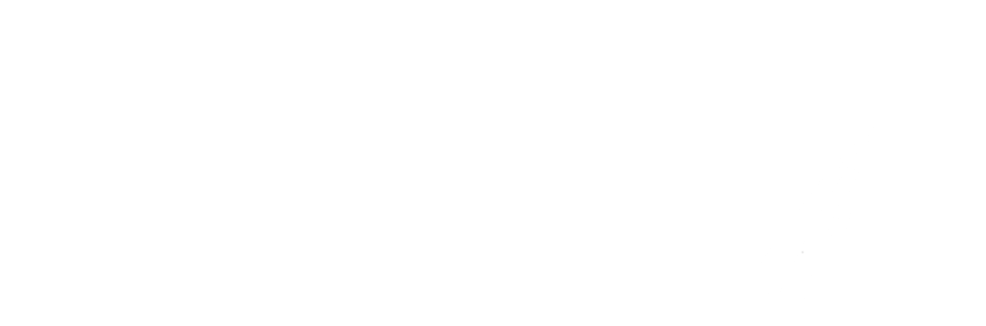Logo white